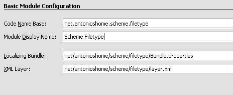 Basic configuration of the NetBeans module